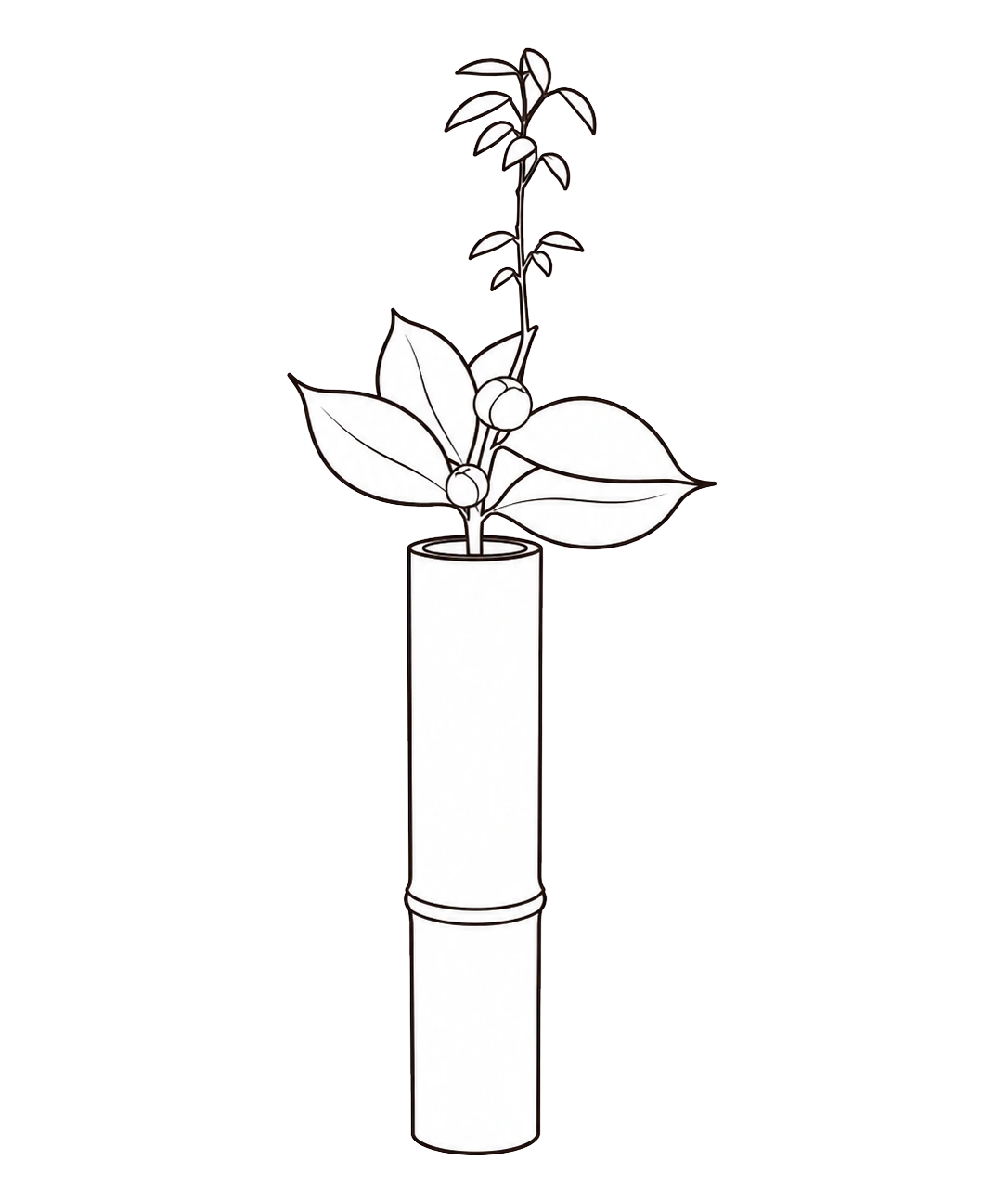 花入