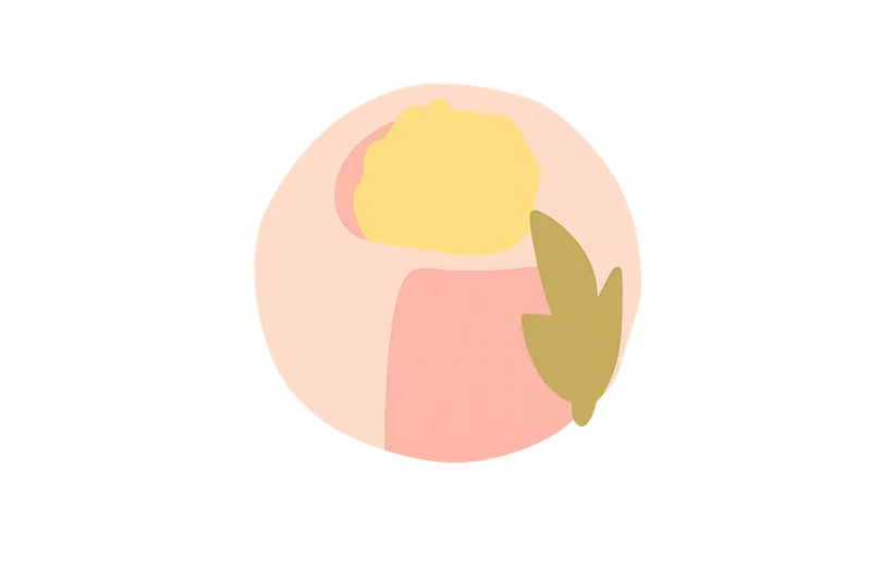 寒牡丹